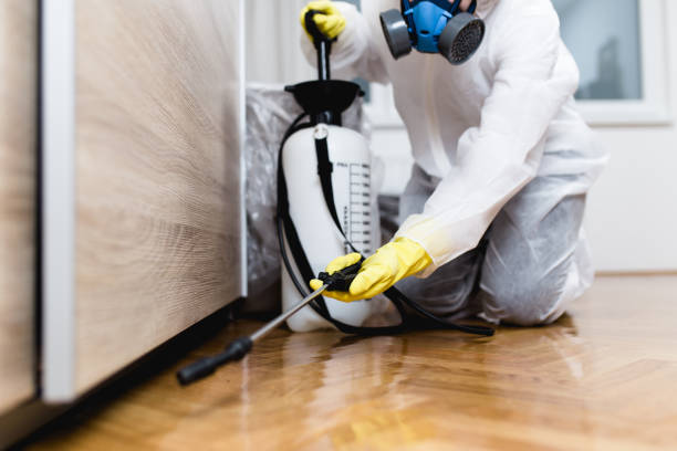 Professional Pest Control in Aloha, OR