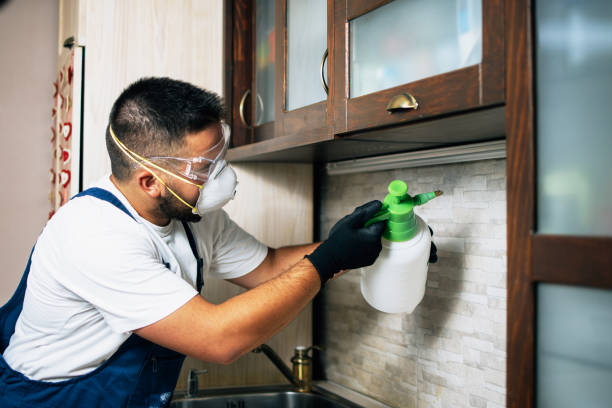 Flea Control Services in Aloha, OR
