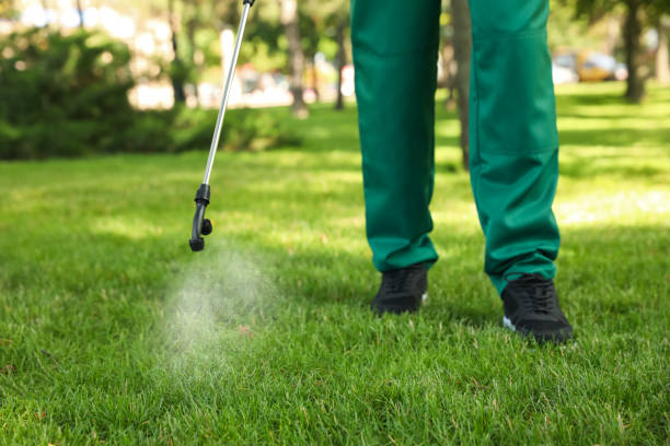 Best Pest Removal Services  in Aloha, OR