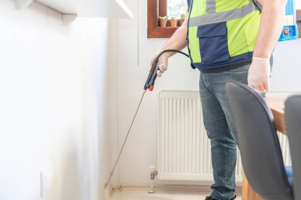 Best Wasp Removal Services  in Aloha, OR