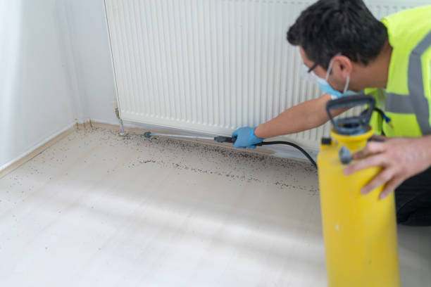 Best Affordable Pest Control Services  in Aloha, OR