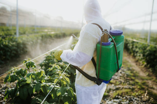 Best Local Pest Control Services  in Aloha, OR